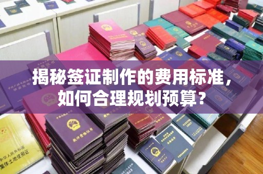 舒城揭秘签证制作的费用标准，如何合理规划预算？